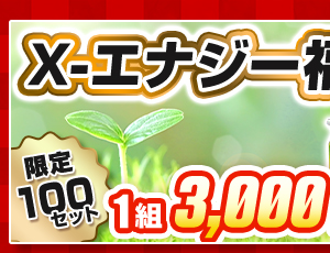 X-エナジー福袋