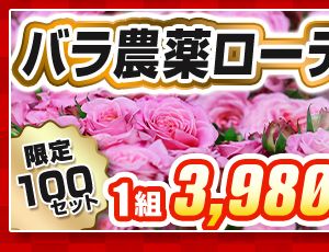 バラ農薬ローテーション福袋