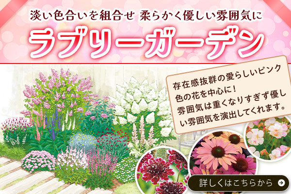 ラブリーガーデン