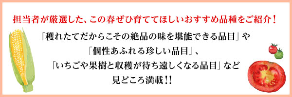 担当者が厳選した、この春ぜひ育ててほしいおすすめ品種をご紹介！