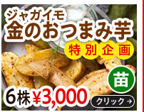 金のおつまみ芋