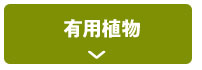 有用植物