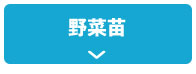 野菜苗
