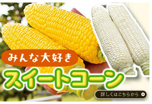 スイートコーン