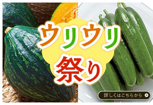 うりうりまつり