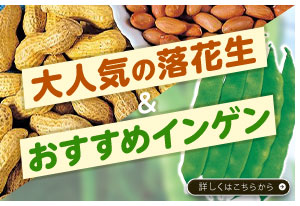 落花生＆インゲン