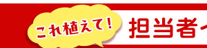 担当者イチオシ