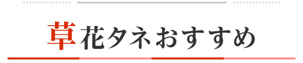 草花タネおすすめ