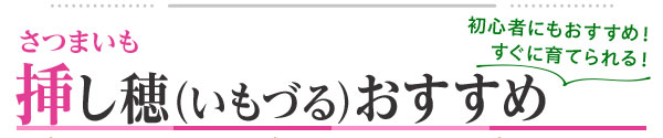 挿し穂おすすめ