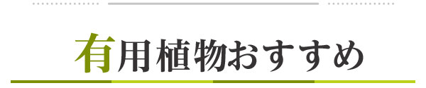 有用植物おすすめ