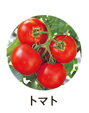 トマト