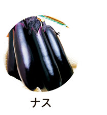 ナス