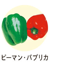 ピーマン・パプリカ