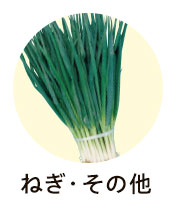 ねぎ