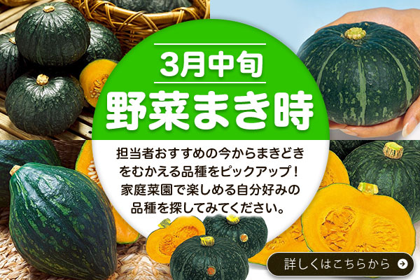 3月中旬まきどき【野菜タネ】