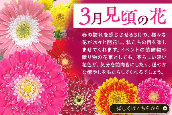 3月見頃の花