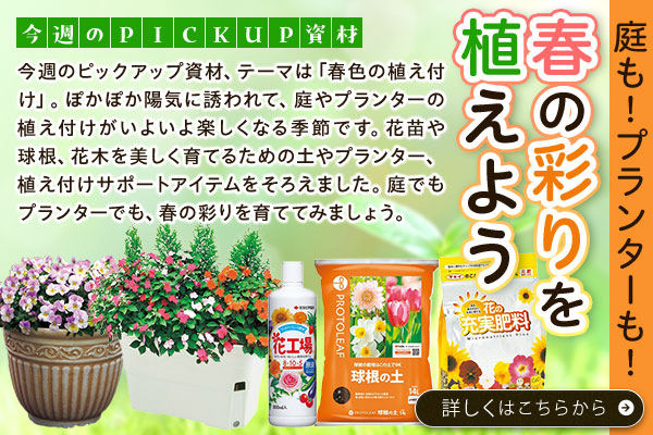 庭も！プランターも！春の彩りを植えよう