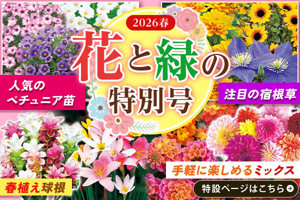 花と緑特別号