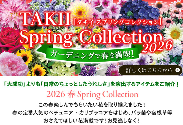 スプリングコレクション