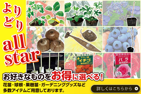 よりどりall star