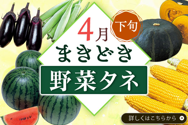 まき時野菜タネ【4月下旬】