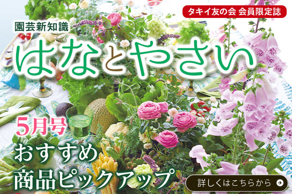 園芸新知識はなとやさい5月号