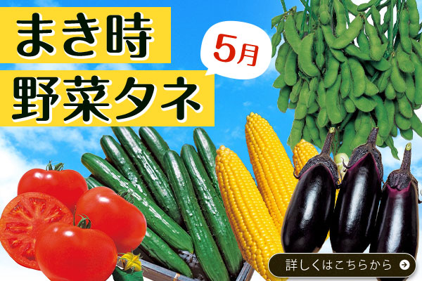 まき時野菜タネ【5月】