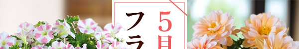 5月にお届けするフラワーギフト