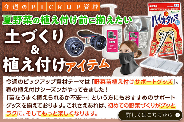 今週のpickup資材