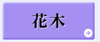 5月おすすめピックアップ【花木】