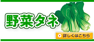 暑さに強い【野菜タネ】