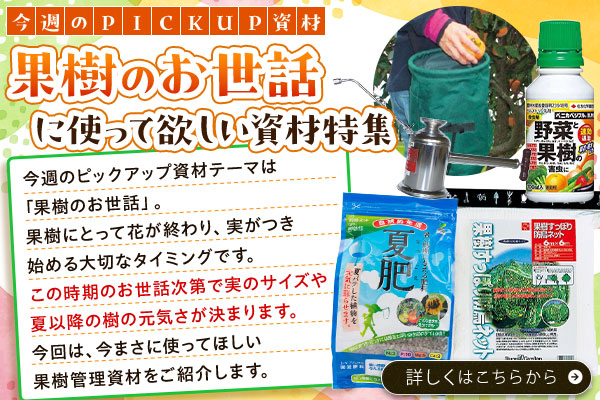 今週のpickup