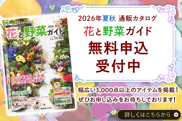 ガイド募集