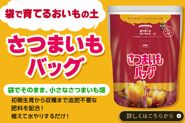 袋で育てるおいもの土さつまいもバック