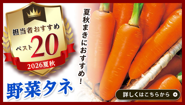 担当者おすすめベスト20【野菜タネ】