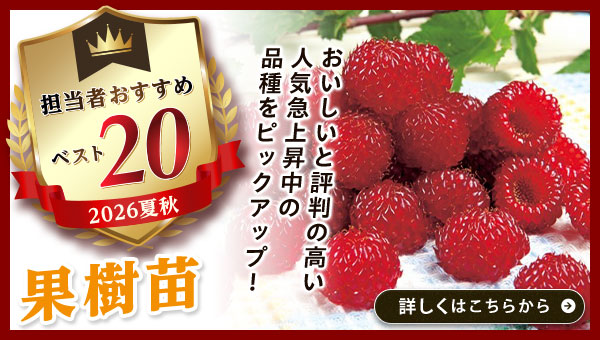 担当者おすすめベスト20【果樹苗】