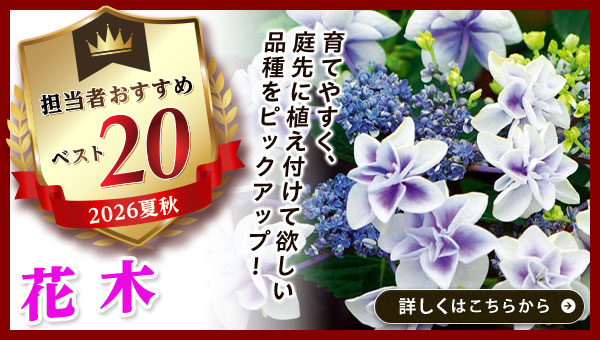 担当者おすすめベスト20【花木】