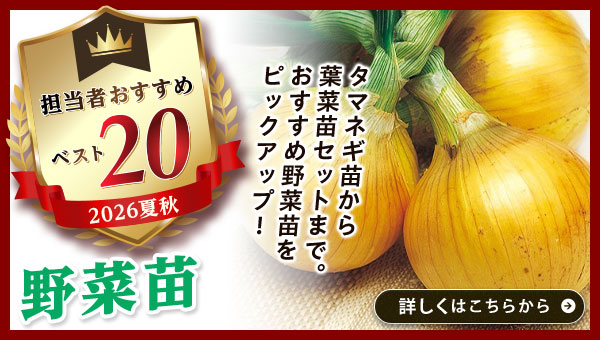 担当者おすすめベスト20【野菜苗】
