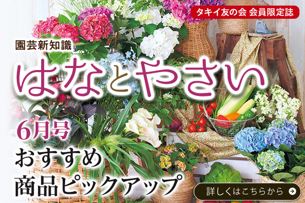 園芸新知識はなとやさい6月号
