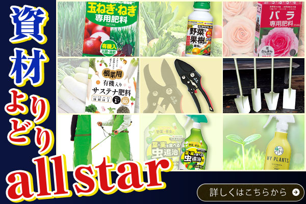 資材よりどり販売　all star