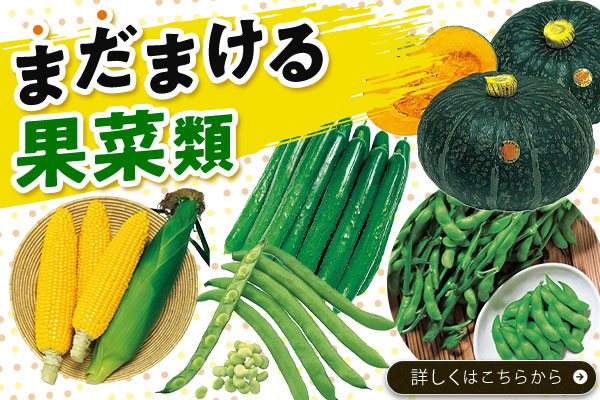 まだまける果菜類