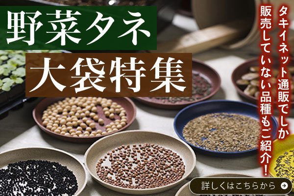 野菜タネ大袋特集