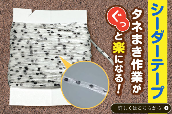 溝に敷くだけでタネがまける！