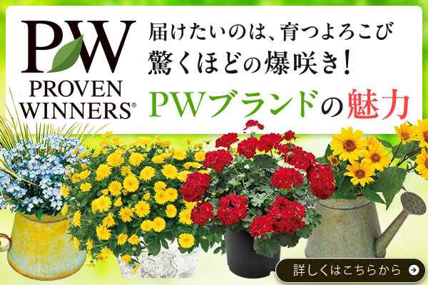 PWブランドの魅力PWの魅力