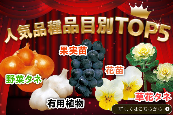 人気品種　品目ごとTOP5