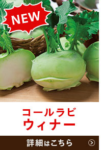 ウィナー