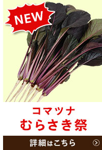 むらさき祭