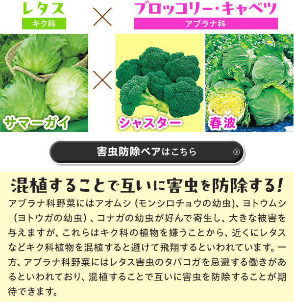 害虫防除ペアはこちら
