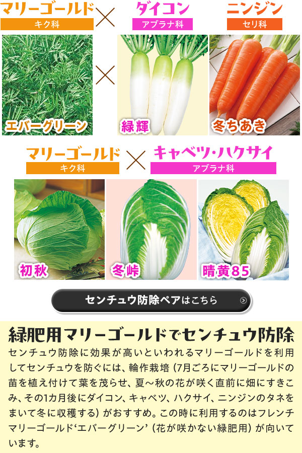 センチュウ防除ペアはこちら