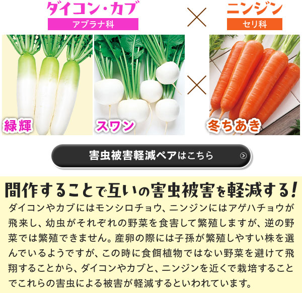 害虫被害軽減ペアはこちら